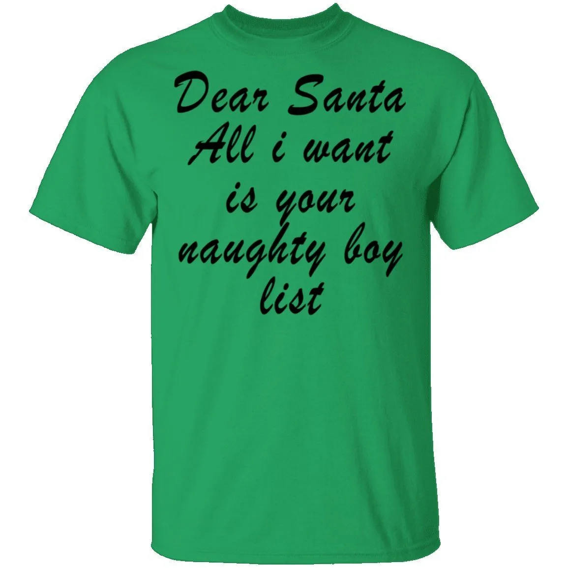 Dear Santa All I Want Is Your Naughty Boy List T-Shirt